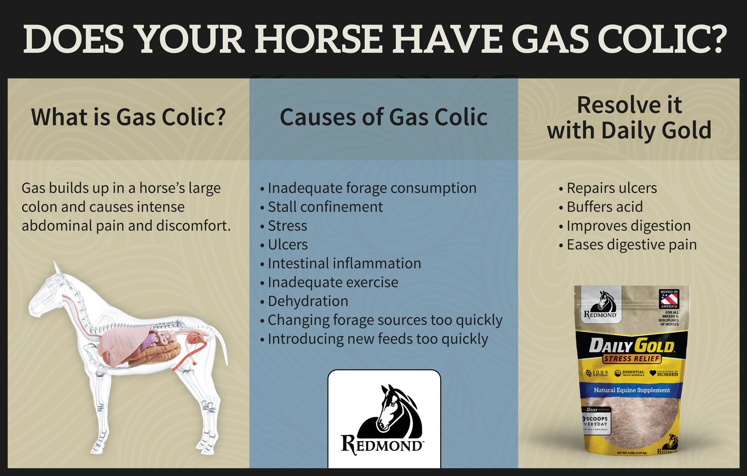 How to Treat and Prevent Gas Colic in Horses