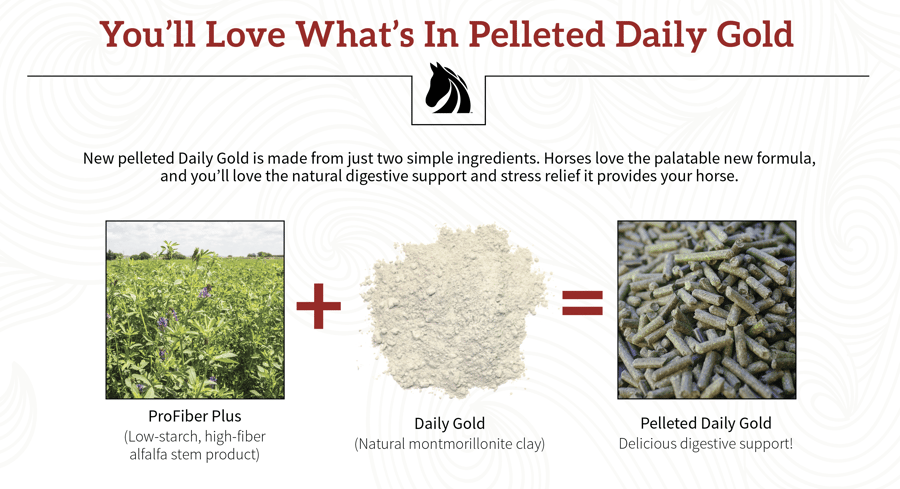 Daily Gold pellets natural horse digestive supplement.