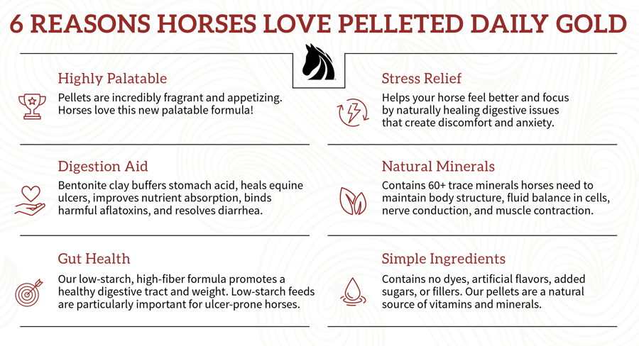 Best natural digestive supplement for horses.