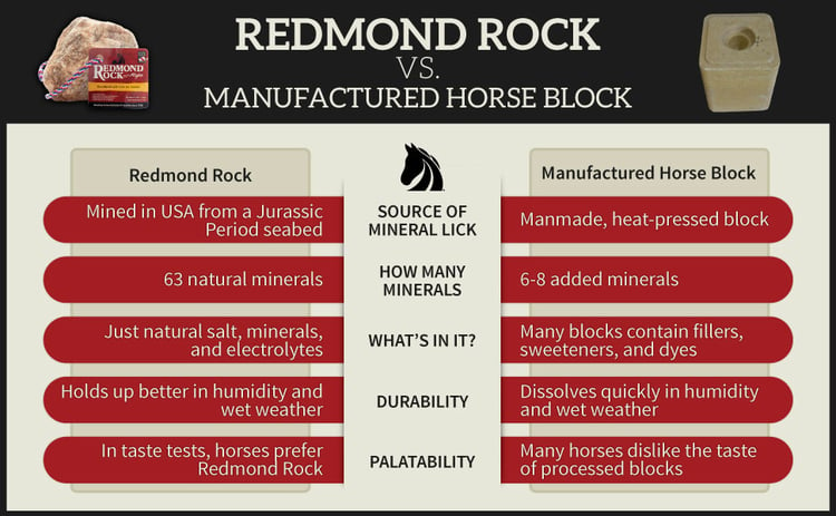 horse rock salt vs. salt block