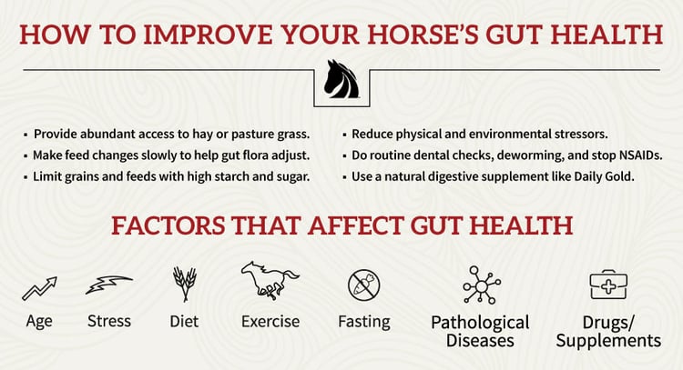 8 ways to improve horse gut health