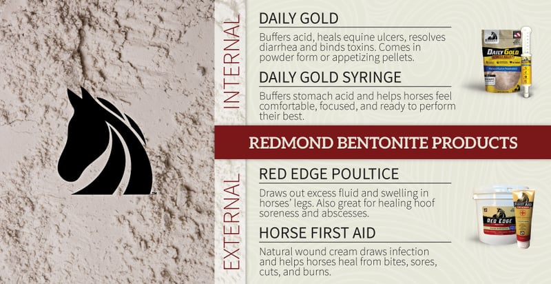 bentonite clay supplements for horses