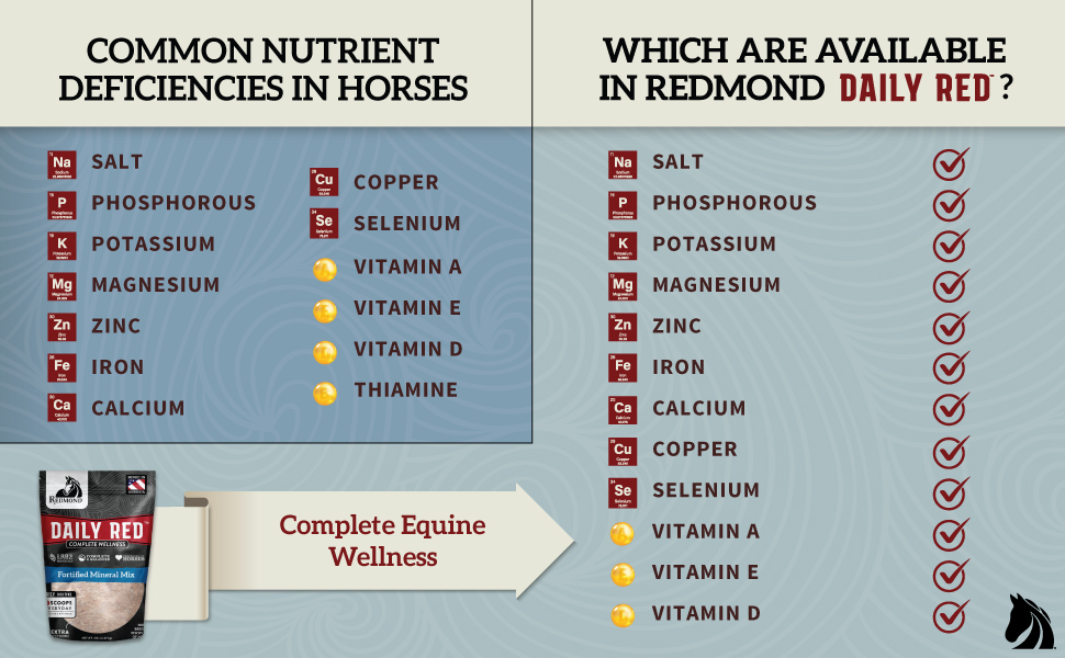 12 Important Vitamins and Minerals for Horses