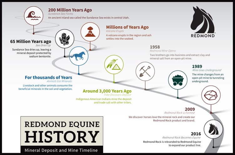 History of Redmond mineral salt deposit and mine.