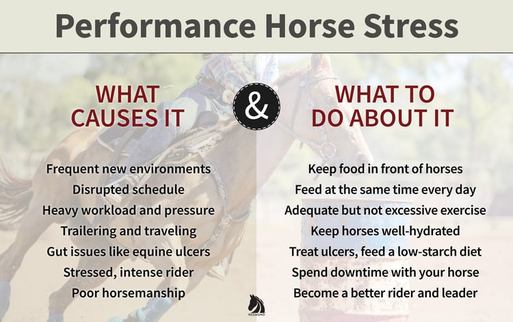 Signs of a stressed out horse and how to provide stress relief.