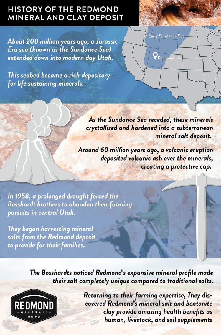 history of redmond salt mine and mineral deposit