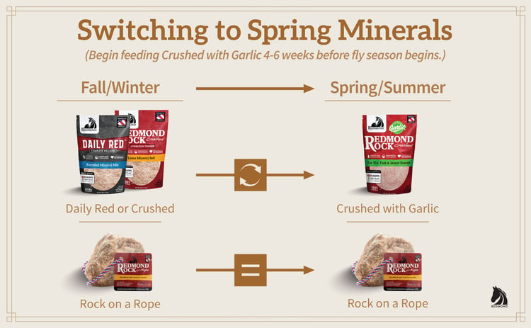 Switch to springtime garlic for horses with Redmond Rock Crushed and Daily Red with Garlic.