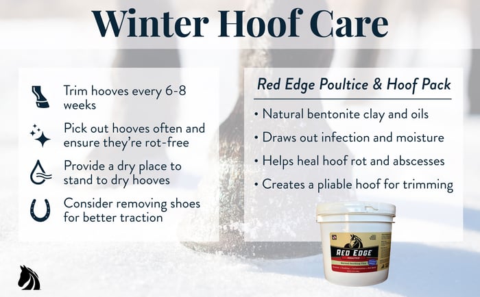 Tips for horse hoof care in winter