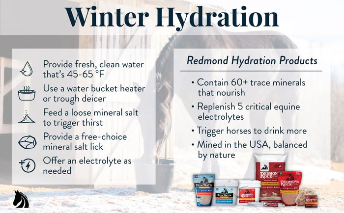 Winter horse hydration tips