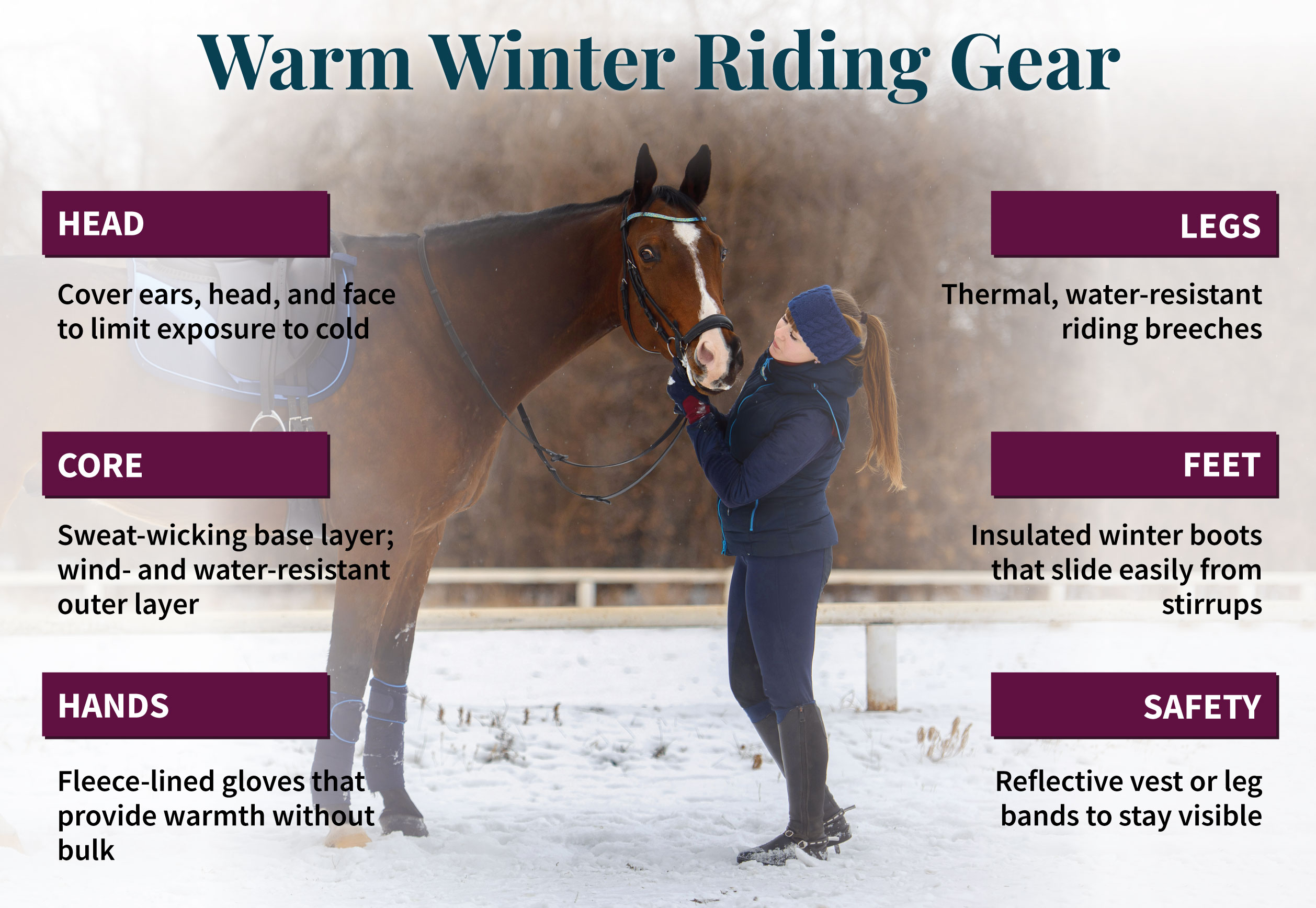 Winter horse riding discount coats