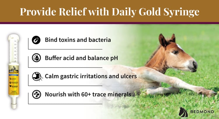  Daily Gold provides natural relief from foal heat diarrhea treatment