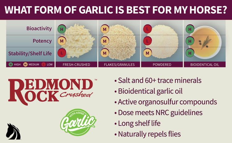 Redmond Rock Crushed Garlic contains bioidentical garlic oil--the best garlic for horses.