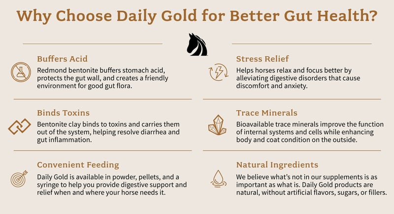 Six benefits of Daily Gold, a natural digestion and ulcer supplement for horses.