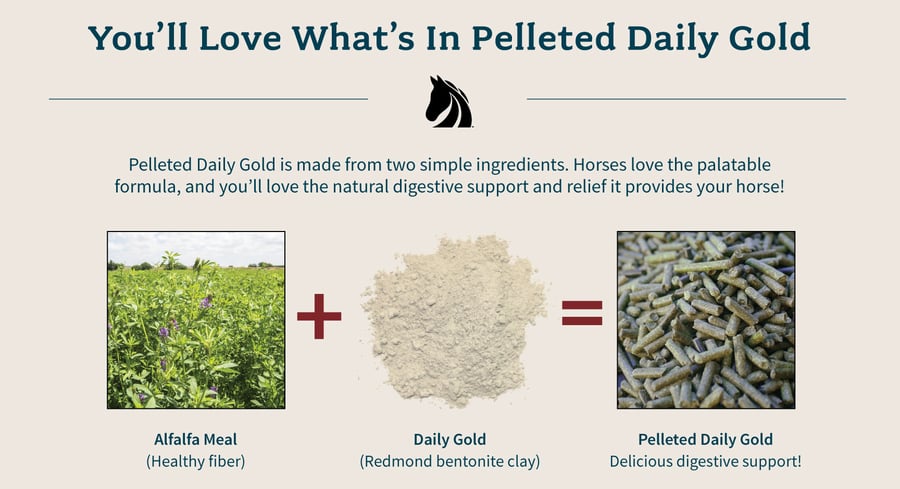 Ingredients in Daily Gold Pellets, a gastric supplement for horses