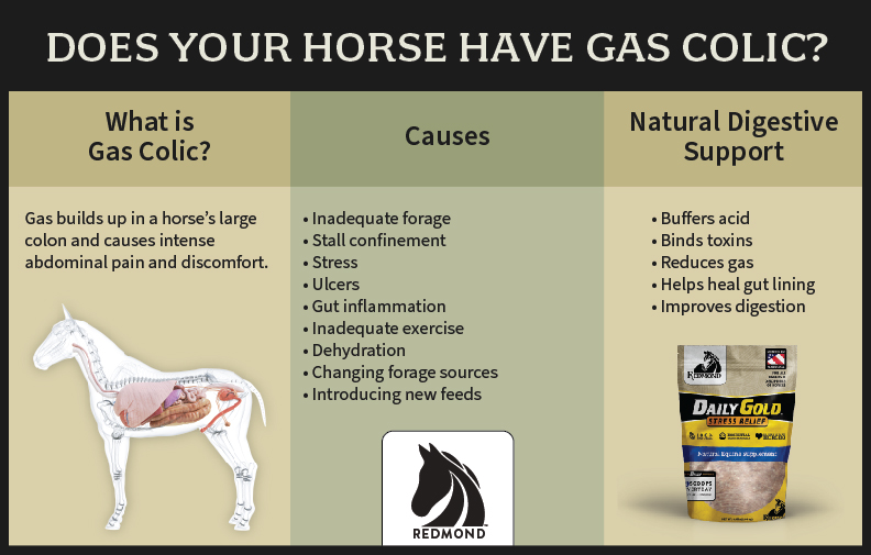 Causes and treatment for gas colic in horses.