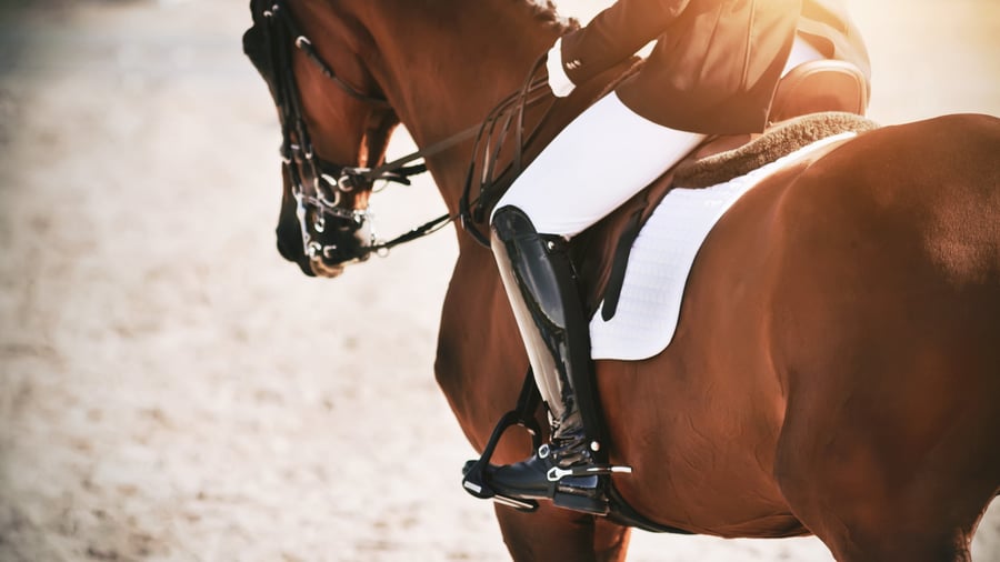 A rider works on better horsemanship