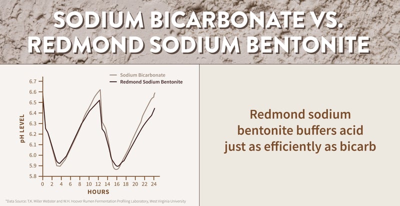 Bentonite for horses - Bentonite vs. sodium bicarbonate