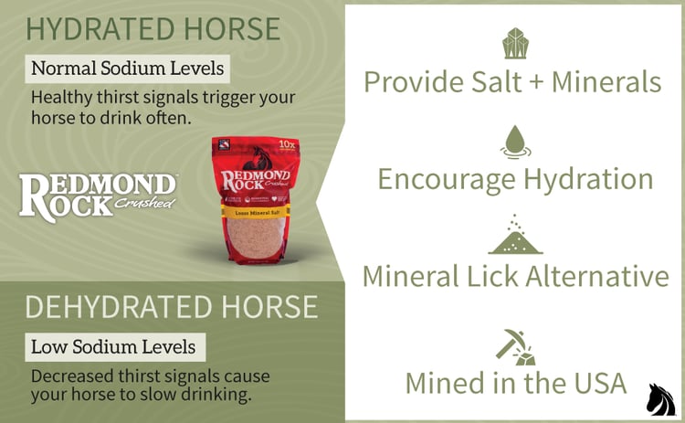 Redmond Rock Crushed loose mineral salt helps horses stay hydrated.