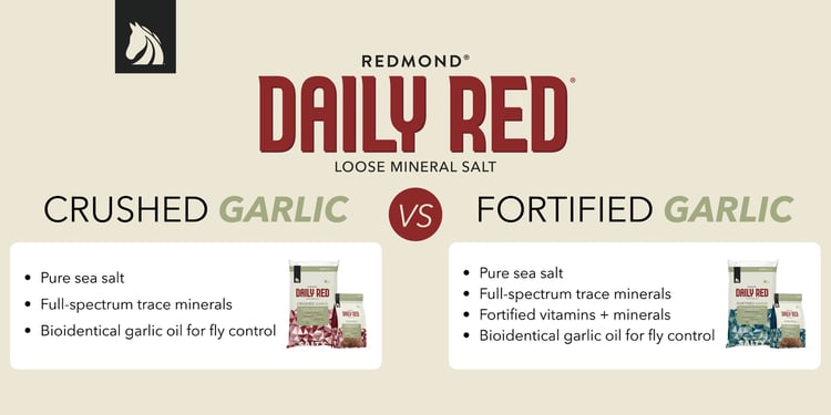 Redmond Daily Red Crushed Garlic vs. Fortified Garlic loose minerals for horses