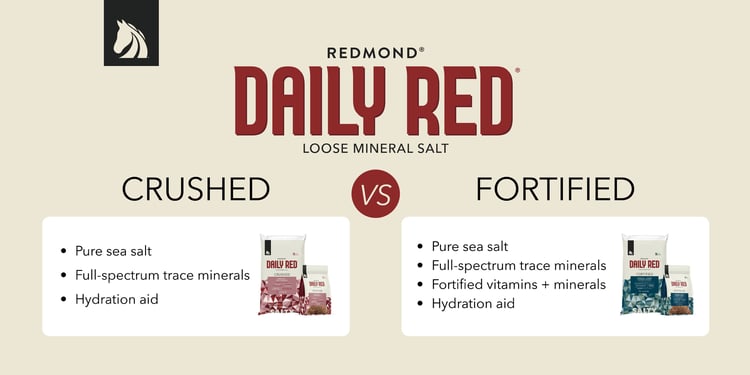 Redmond Daily Red Crushed vs. Fortified mineral salt for horses.