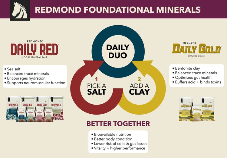 Redmond Daily Duo - foundational horse mineral supplements