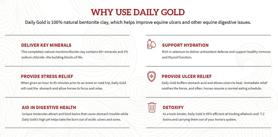 Daily Gold - why use it-2