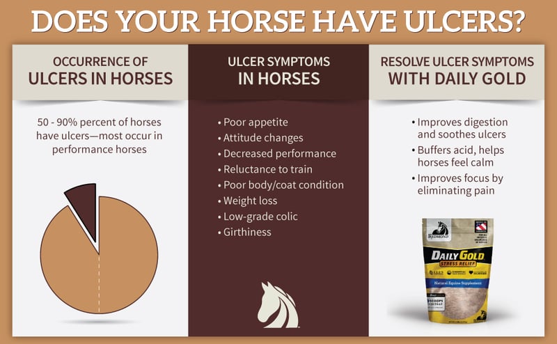 ulcer symptoms in horses