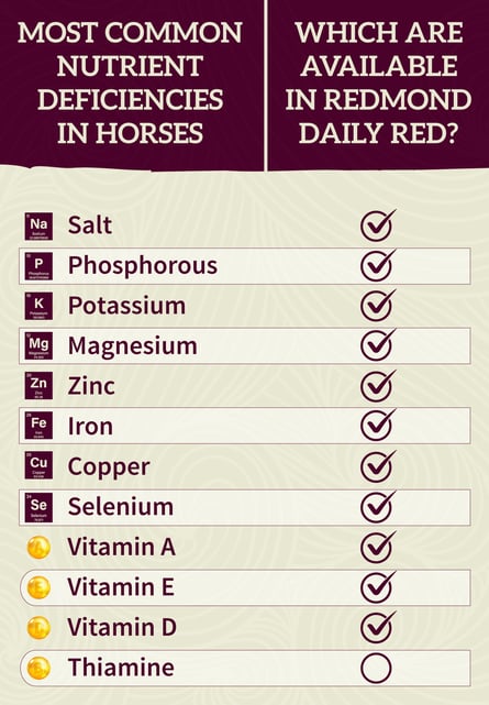 Daily Red - Common Mineral Deficiencies in Horses-1