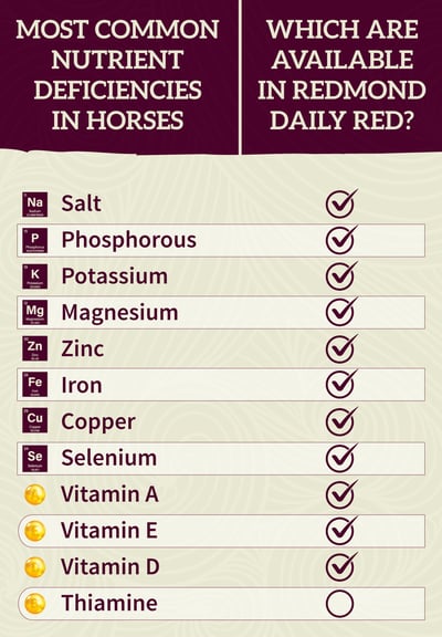 Daily Red - Common Mineral Deficiencies in Horses