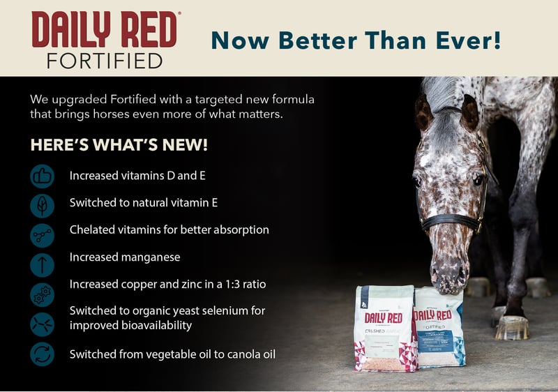 New formula for Daily Red Fortified loose horse minerals.