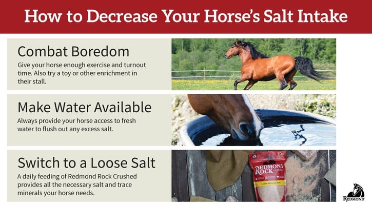 Can a horse lick too much salt?