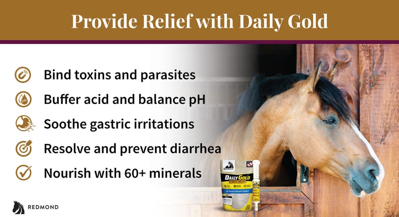Daily Gold is one of the best supplements for horses with diarrhea.