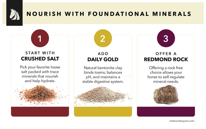 Three foundational Redmond horse mineral supplements.