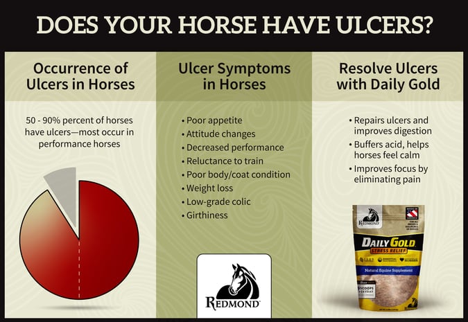 Does Your Horse Have Ulcers-1
