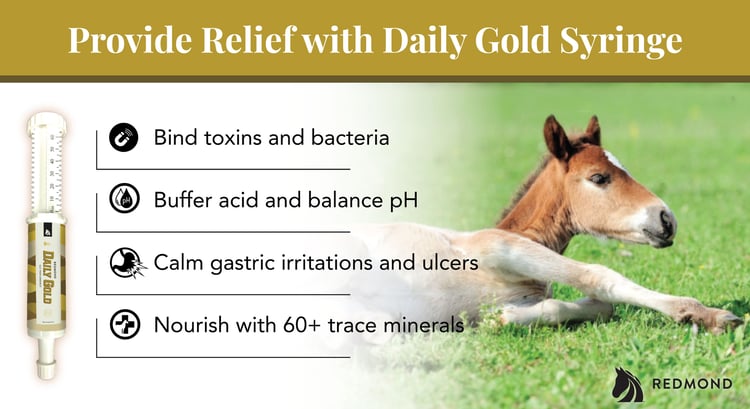  Daily Gold provides natural relief from foal heat diarrhea treatment