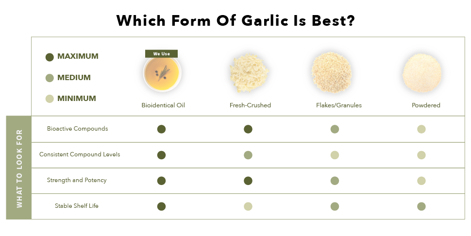 Forms of Garlic for Horses