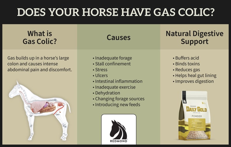 Causes and treatment for gas colic in horses.