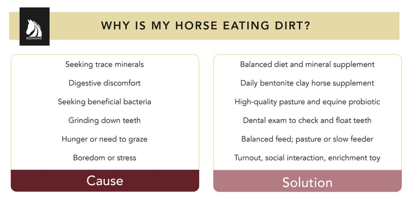 Why horses eat dirt - causes and solutions