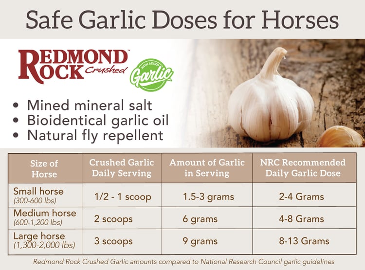 Chart for feeding garlic to horses using Redmond Rock Crushed with Garlic.