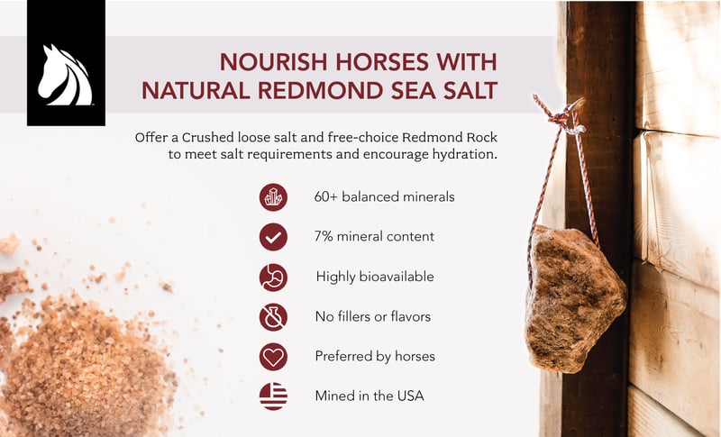 Nourish horses with natural Redmond sea salt licks and loose salt.