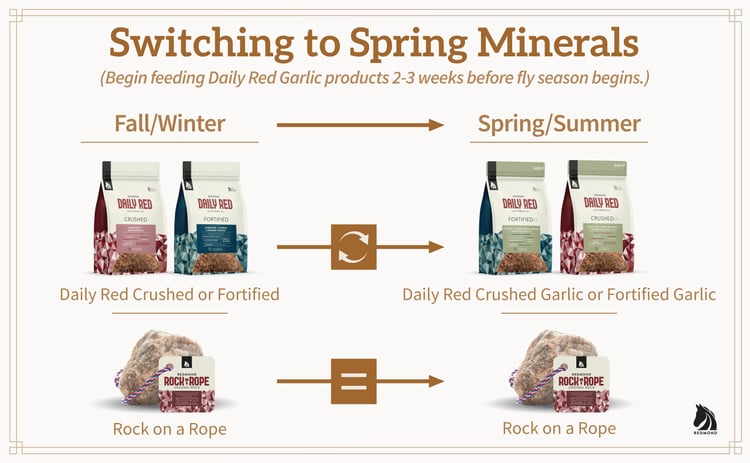 Switch to springtime garlic for horses with Daily Red Crushed Garlic and Daily Red Fortified Garlic.