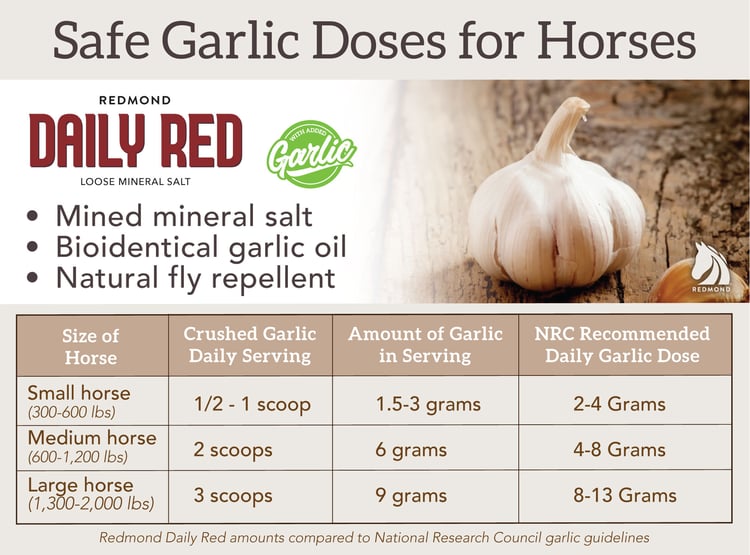 Chart for feeding garlic to horses using Daily Red Crushed Garlic.