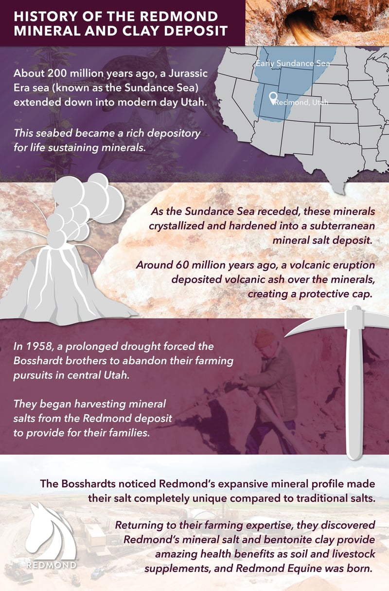 Redmond salt mine and bentonite mineral deposit timeline.