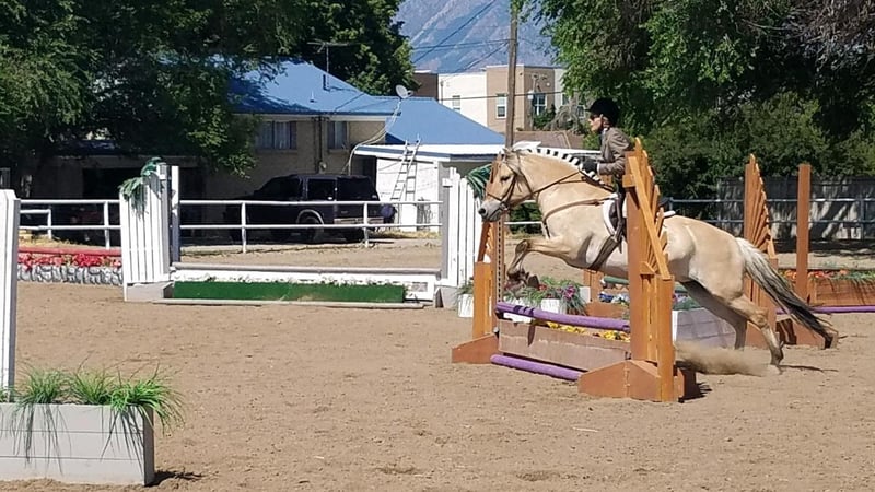 Jo Green jumps with her horse to strengthen the relationship with her horse.