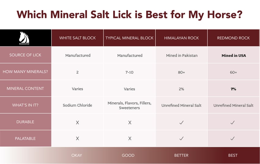 Comparing mineral blocks vs. rock salt licks for horses.