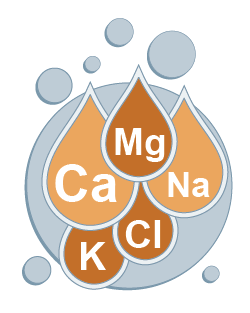 Salt v. Electrolyte for horses - bubble