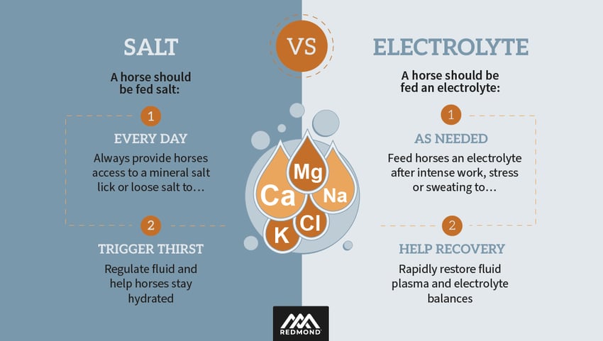 Salt v. Electrolyte for horses