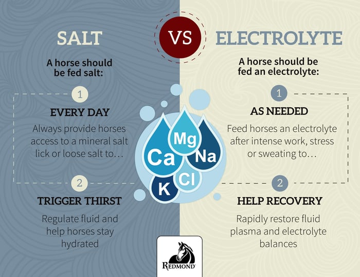 Salt vs electrolytes