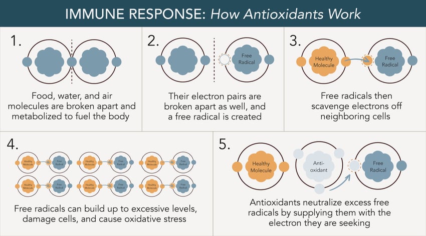 Immune and antioxidant benefits of selenium.