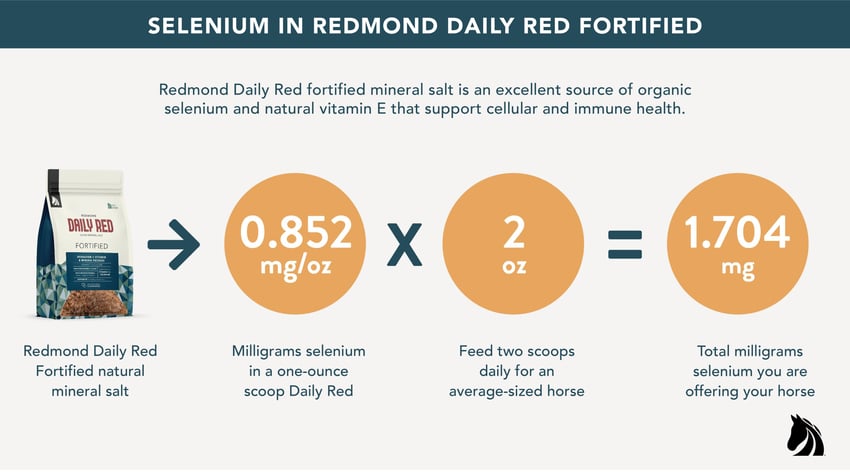 How much selenium for horses in Redmond Daily Red mineral salt supplement.